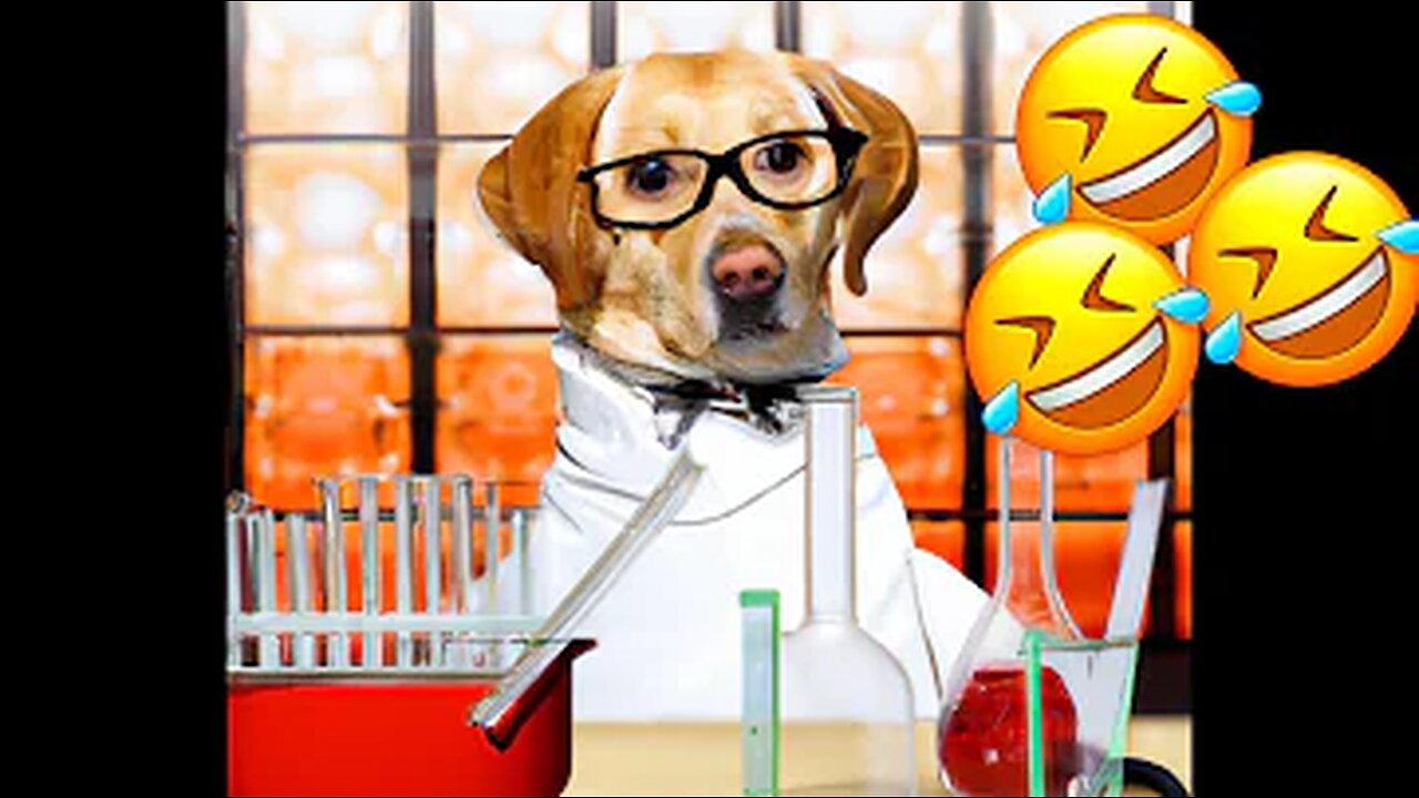Funny Animal Videos 2023 | Funniest Cats And Dogs Video | Cutest Animals Ever