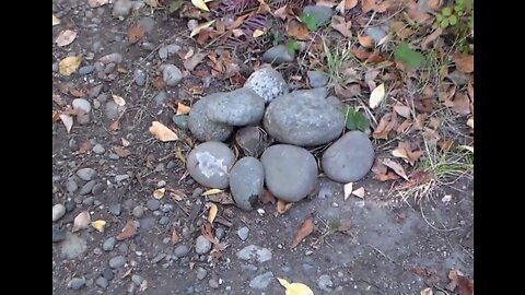 BIGFOOT LEFT HIS MARK!