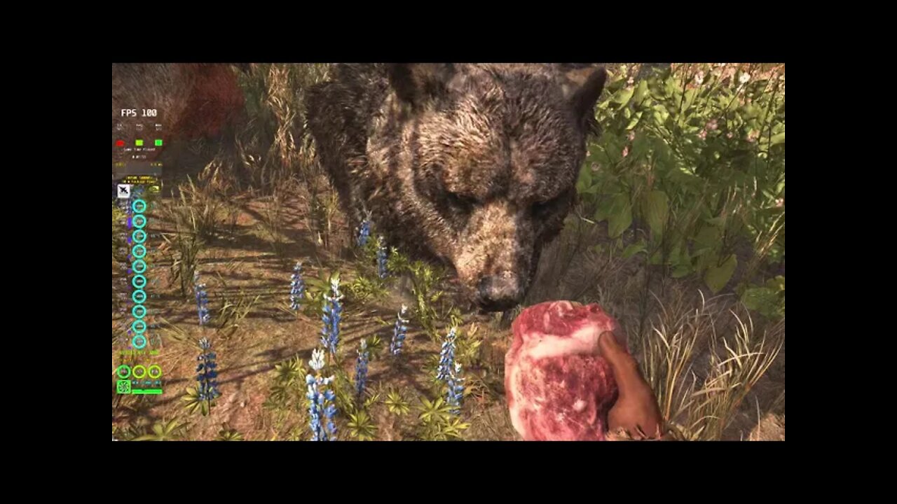 Far Cry Primal Great Scar Bear Beast Master Hunt 4K HDR