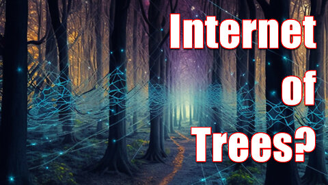 The Internet of TREES (a different IoT)