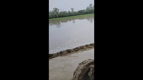 #india #rich # farming # punjab #farmlife