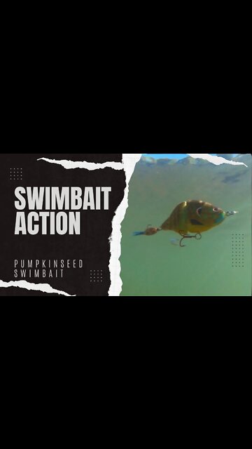 Pumkinseed Action - 3.5" Swimbait