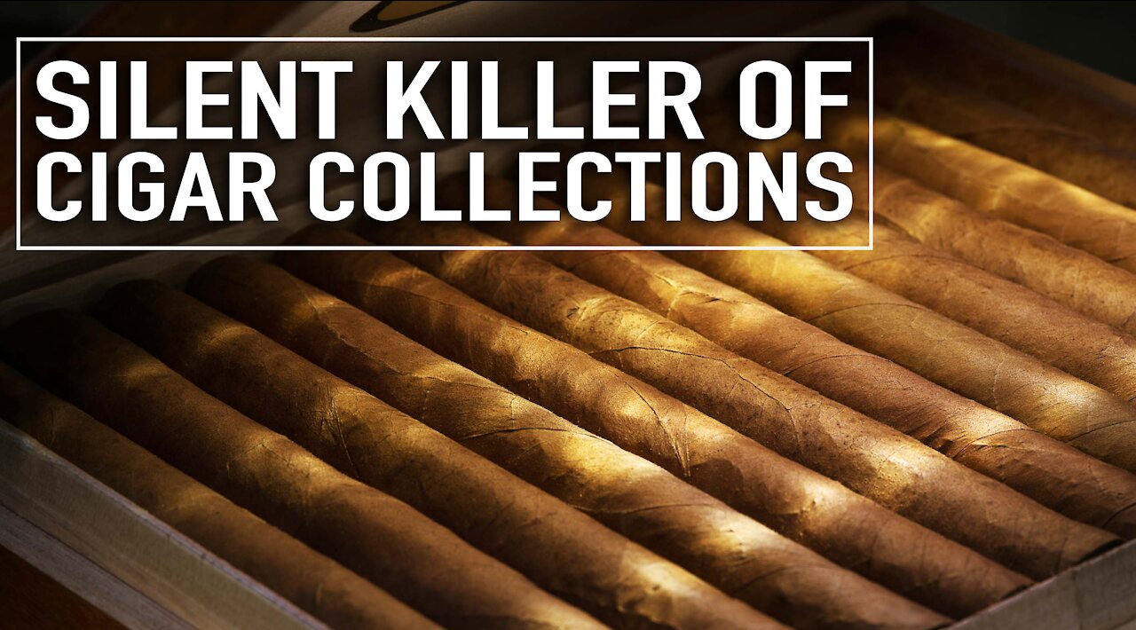 The Silent Killer of Cigar Collections