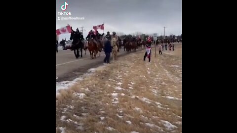 THE CANADIEN COWBOYS ARRIVE TO ALBERTA TO SUPPORT THE TRUCKERS