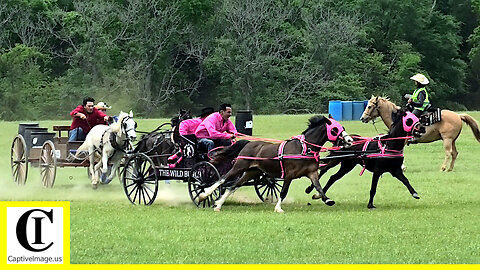 Buckboard Wagon Race - The 1836 Chuckwagon Races 2022 | Sunday