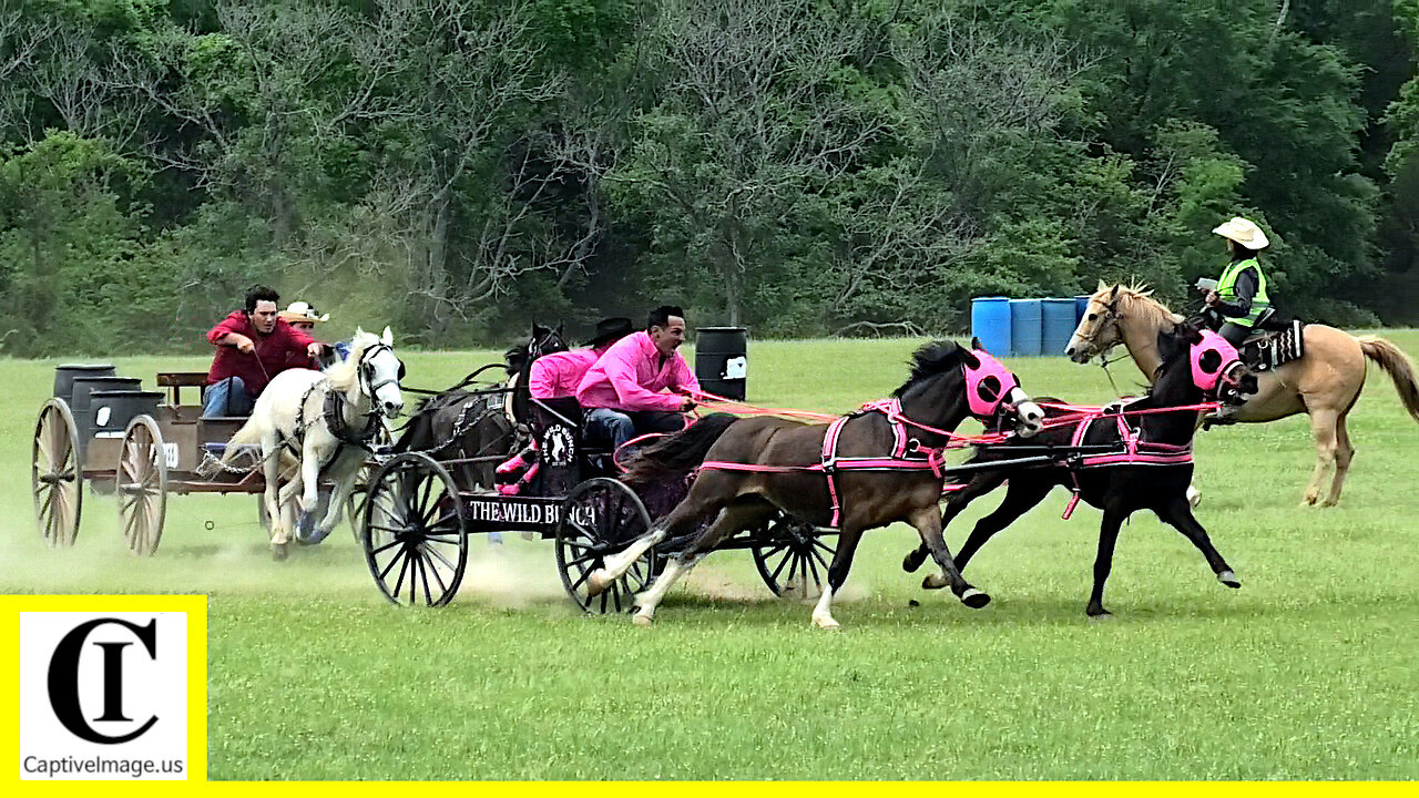 Buckboard Wagon Race - The 1836 Chuckwagon Races 2022 | Sunday