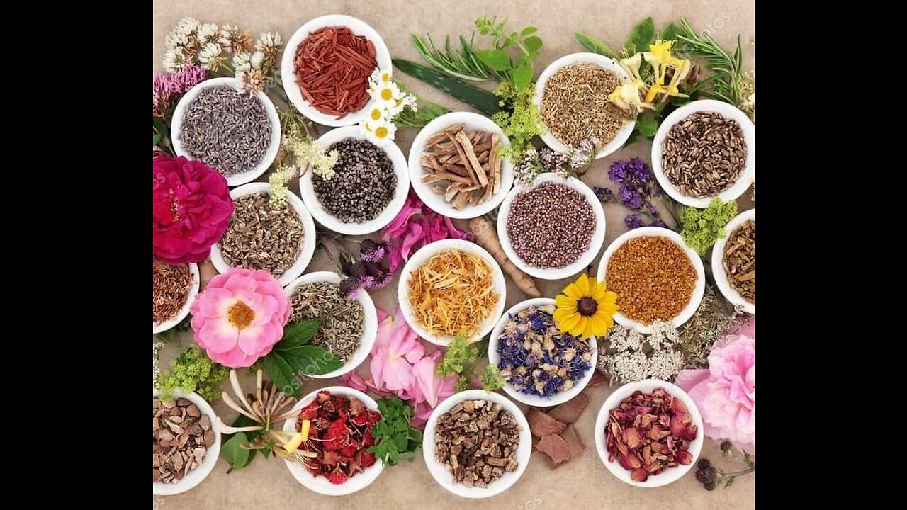 Herbs to support the Lymphatic system with Eden's Living TV