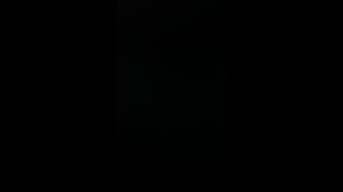 Stand strong for freedom