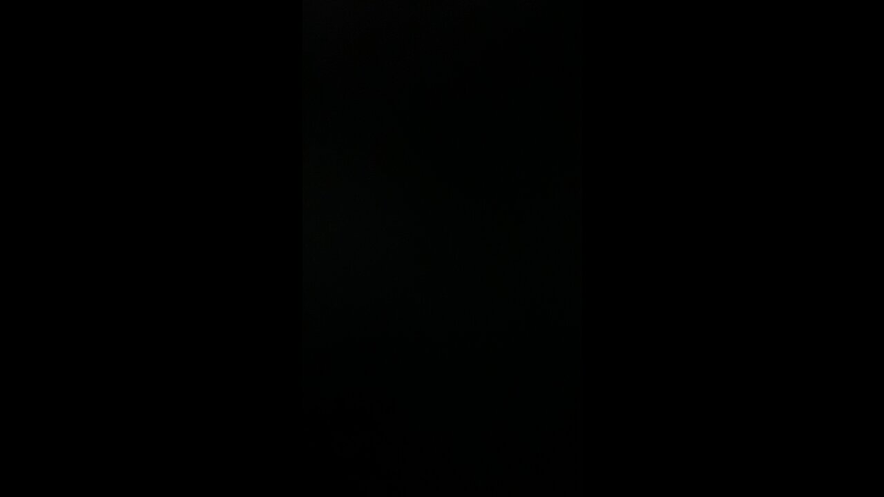 Stand strong for freedom