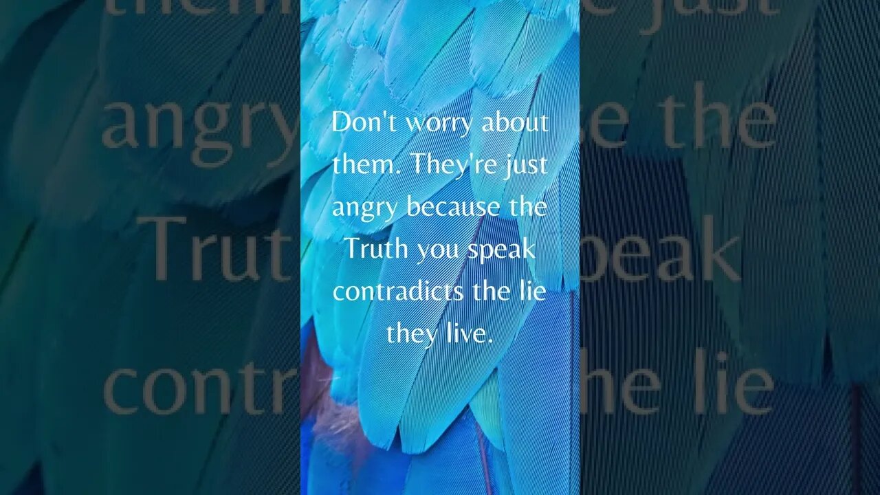 Don't Worry About Them