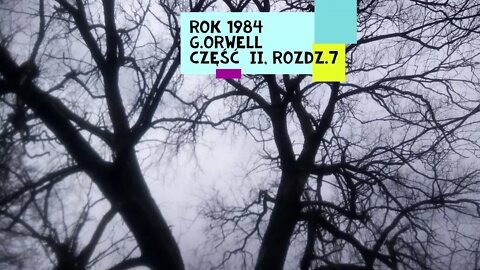 Rok 1984 - George Orwell część II, rozdz.7