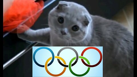 5m of 0lympic 2024 cats, then more serious LOLs