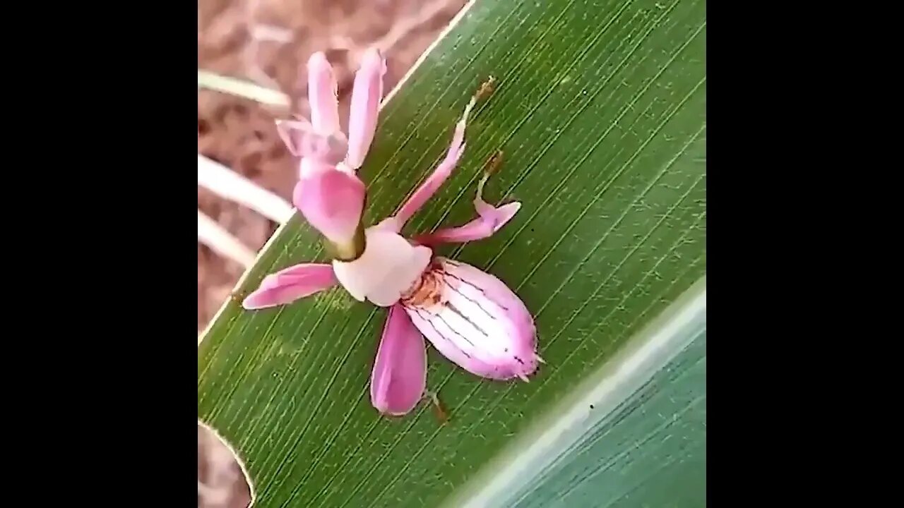 ۱۵ اوت ۲۰۲۲