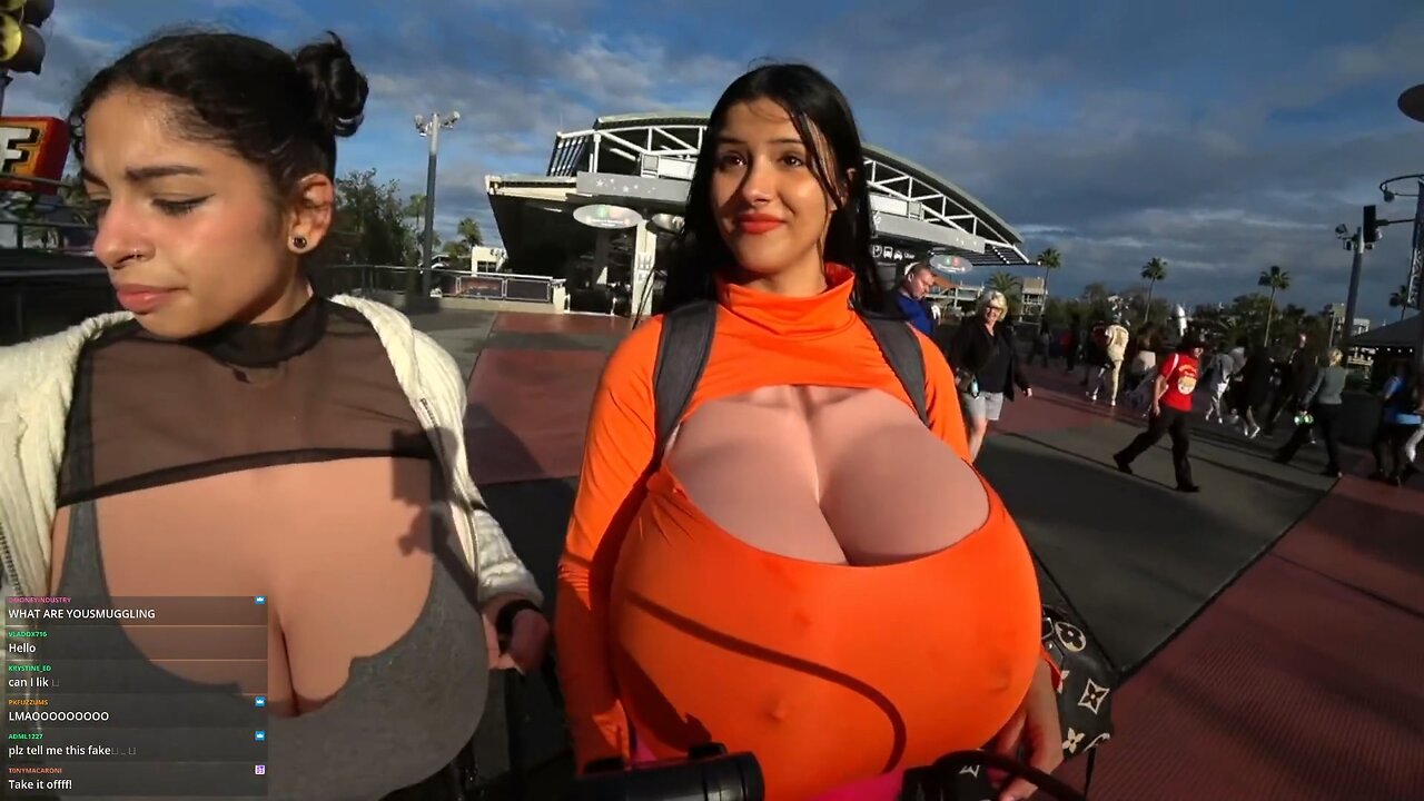 StrawberryTabby is walking with her friend with giant... something