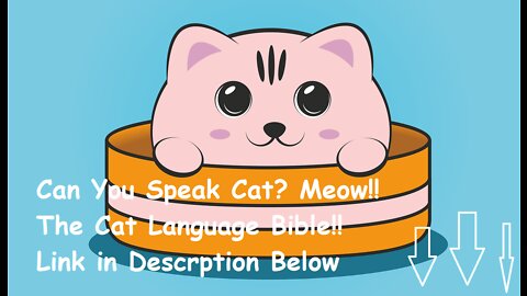 Can you Speak Cat?: The go-to-guide for bonding with your cat through language communication #short