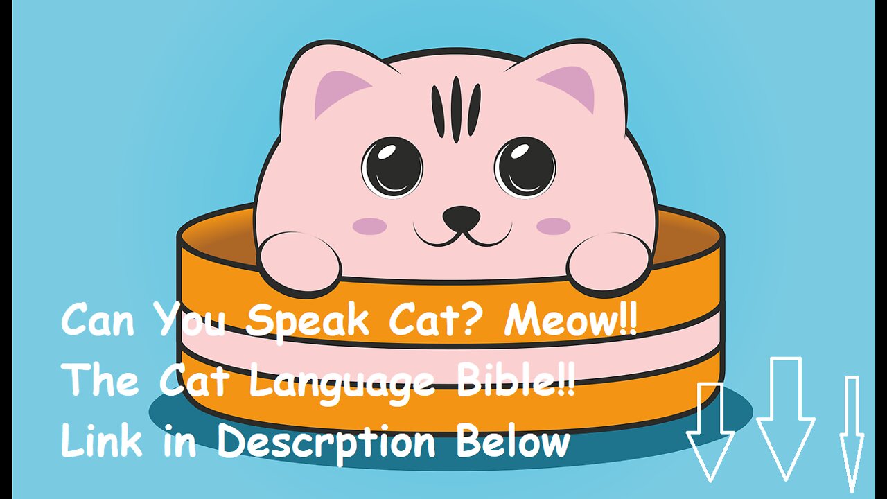Can you Speak Cat?: The go-to-guide for bonding with your cat through language communication #short