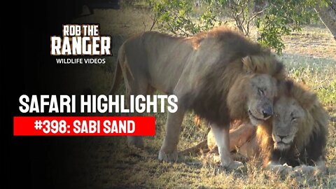 Safari Highlights #398: 10 - 13 April 2016 | Sabi Sand Wildtuin | Latest Wildlife Sightings