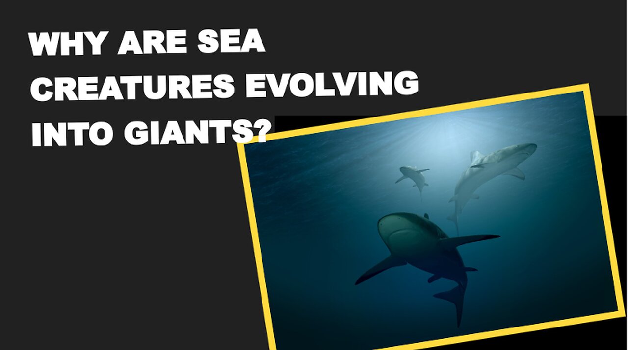 Why Are SEA CREATURES Evolving into Giants?