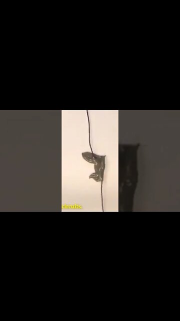 EE.UU. crea robots líquidos. se inyecta en el cuerpo para eliminar objetos tragados por error.