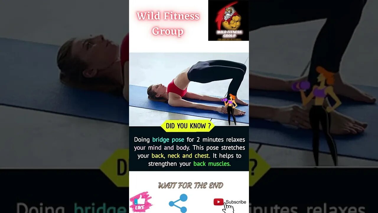 🔥Benefits of doing bridge pose🔥#shorts🔥#wildfitnessgroup🔥25 June 2022🔥