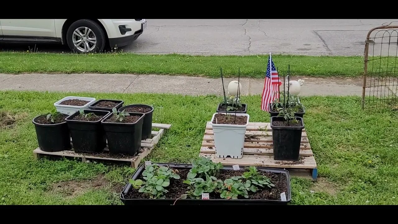Just working in the yard