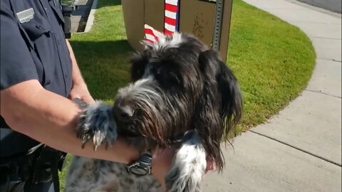 KnoW LAW, KnoW ORDER, 1st Rally, Meet Scout with the Boise Police Department