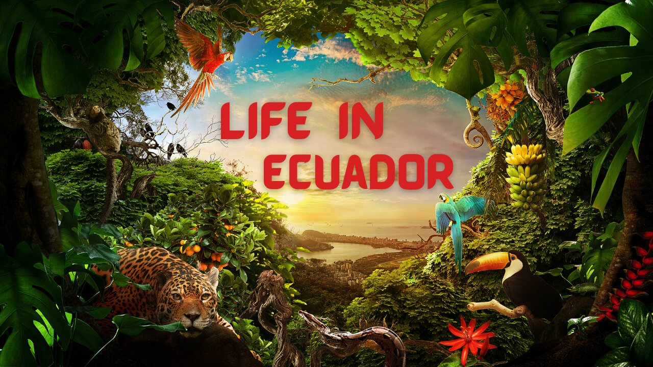 Life in Ecuador