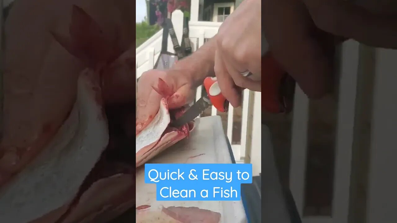 Quick & Easy to Clean a Fish!!!