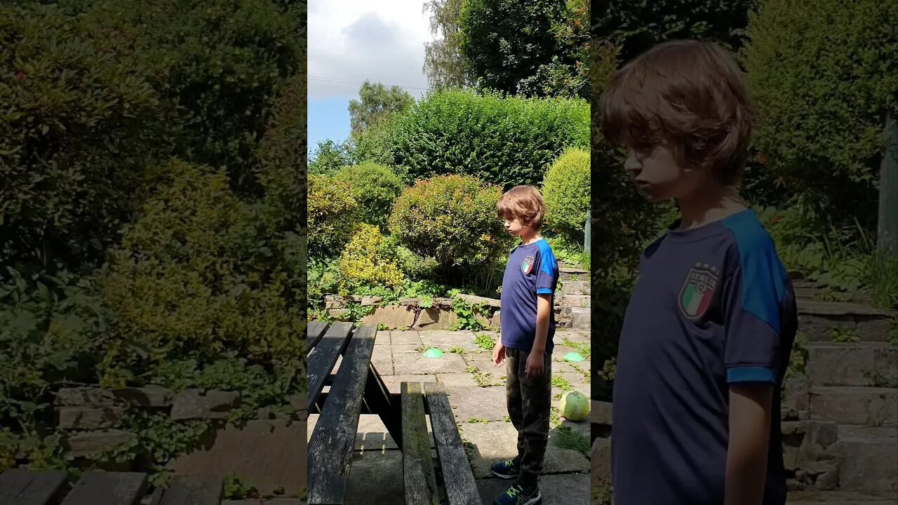 step ups on to bench practicing balance and coordination