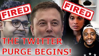 Elon Musk FIRES Twitter CEO & Top Censorship Executives IMMEDIATELY After Officially Closing Deal!