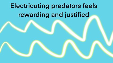 Colomon Rhonda electrocutes bike path creeper