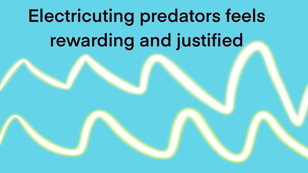 Colomon Rhonda electrocutes bike path creeper