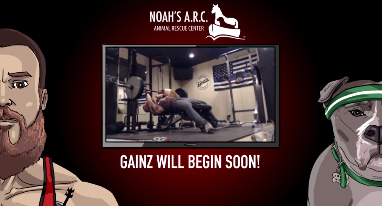 Gym Session w/the Pup [Week 30] - Shoulders // Animal Rescue Stream :)