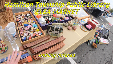 Flea Market - Selling for the day and Walkabout - Hamilton Twp Public Library Flea Market