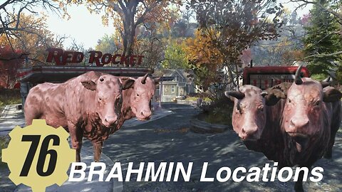 BRAHMIN Locations, fallout76