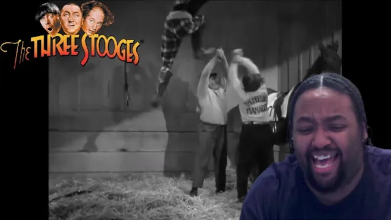 The Three Stooges Ep 26 Reaction