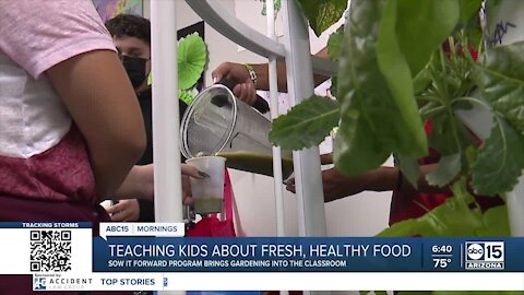 Indoor gardens bring fresh, healthy food to Valley schools