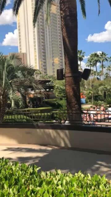 stopped by the mgm......