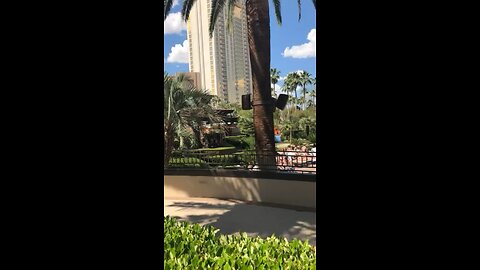stopped by the mgm......