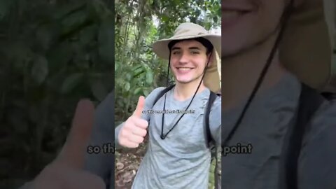 A Day in My Life: Working as an Amazon Jungle Research Assistant! ⛈️🦎