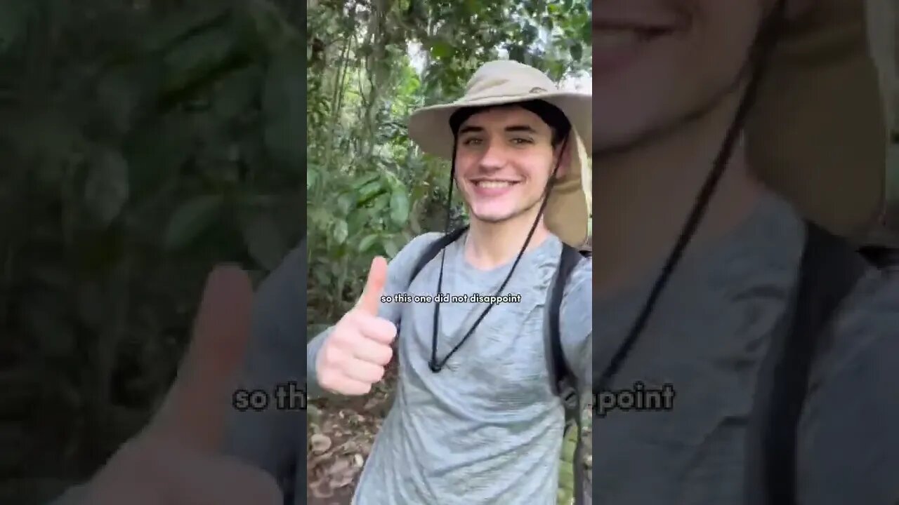 A Day in My Life: Working as an Amazon Jungle Research Assistant! ⛈️🦎