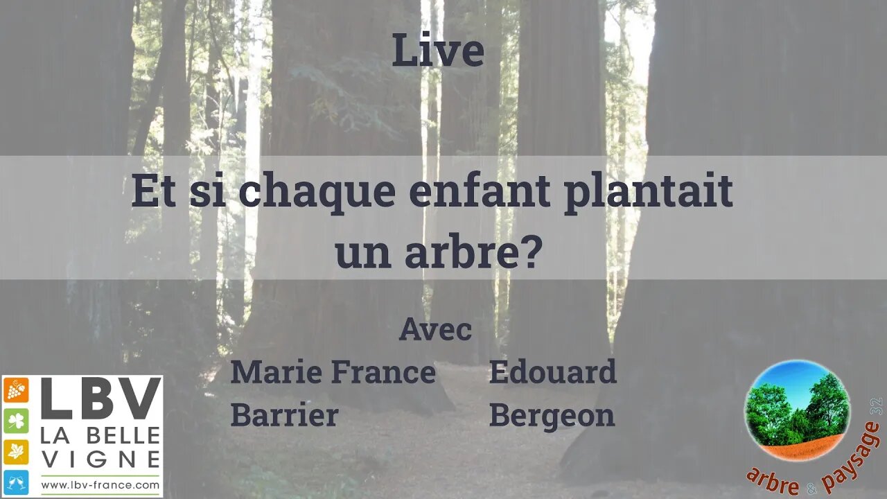 Et si chaque enfant scolarisé plantait un arbre ? … du rêve à la réalité !