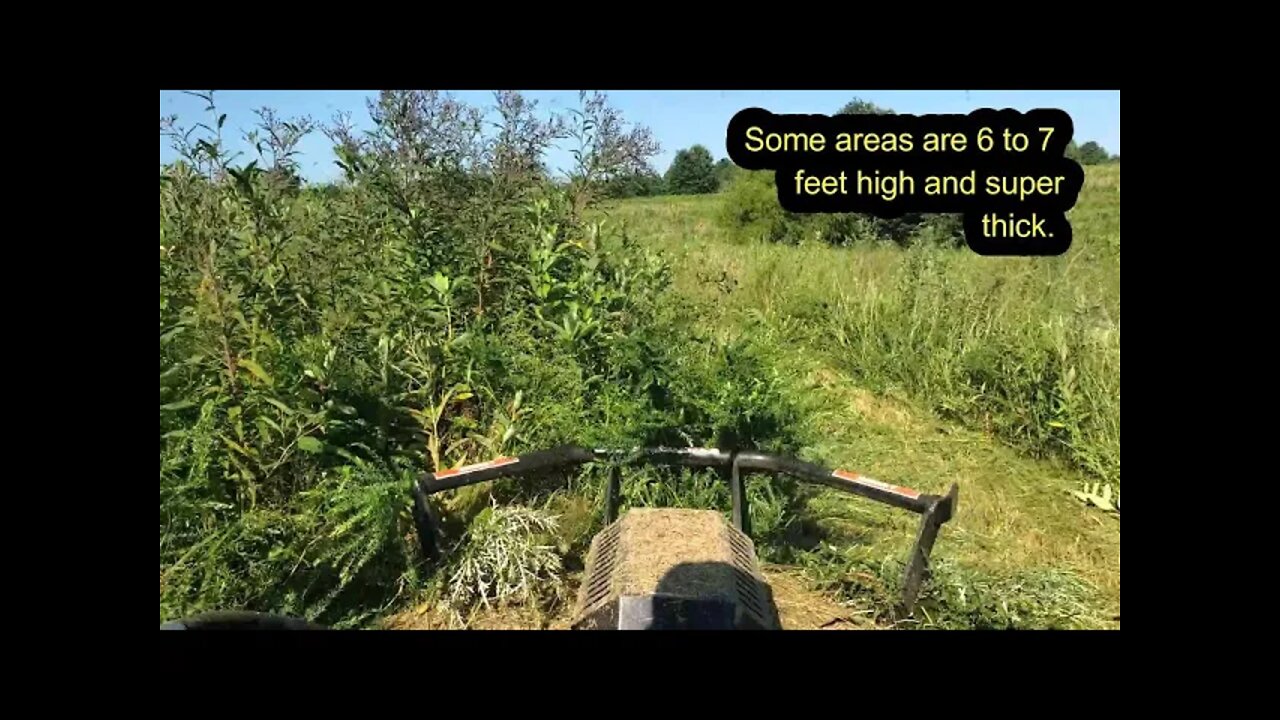 Bush Hogging 7 foot jungle with Bobcat T650 & Blue Diamond Severe Duty Brush cutter! (PART 2)