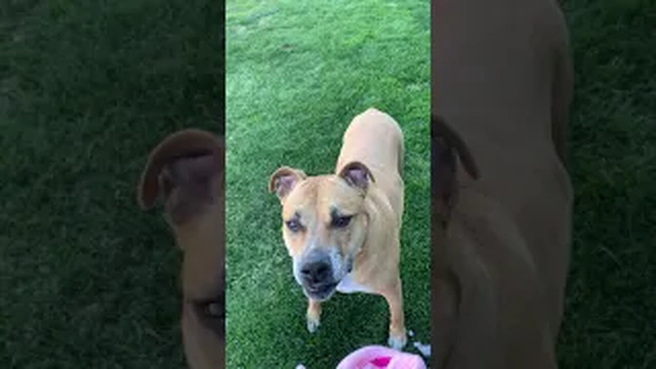 Cowboy Playing Outside