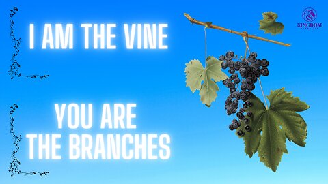 I Am The Vine You Are The Branches