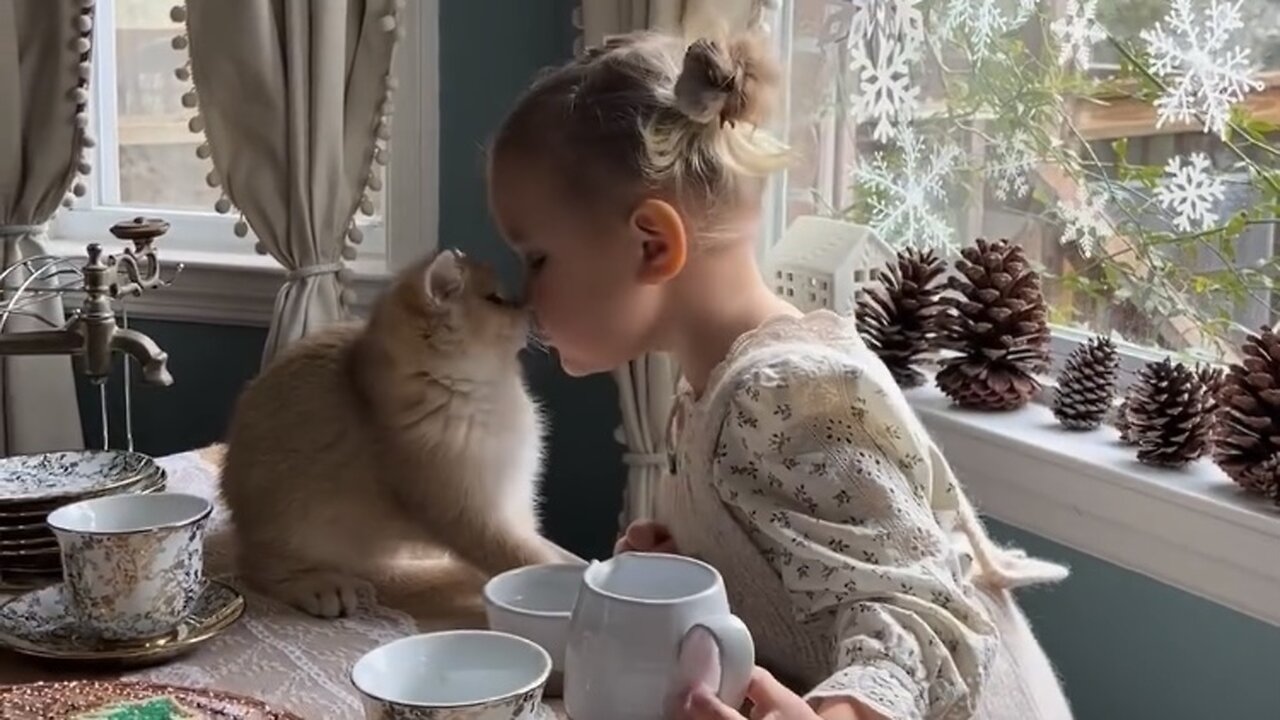 little girl playing with an adorable kitten❤️