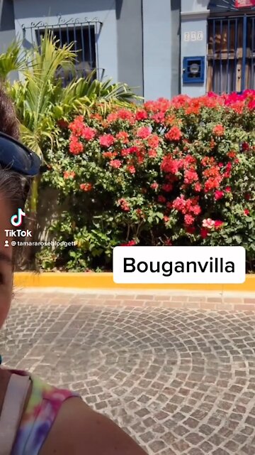 I tore my calf muscle so no hidden beach this wk.