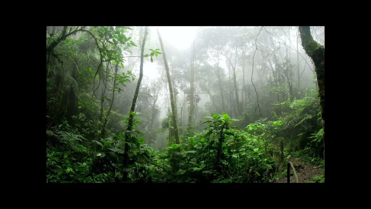 MEDITATION MUSIC, MEDITATION MUSIC FOR HEALING, HEALING MEDITATION, STRESS, RELAXATION, SLEEP MUSIC