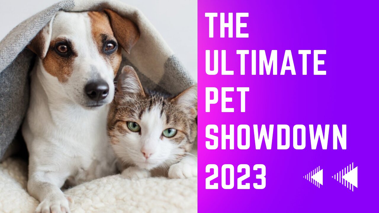 The Ultimate Pet Showdown, Cat and Dogs