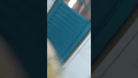 primeiro ovo da galinha do meu quintal